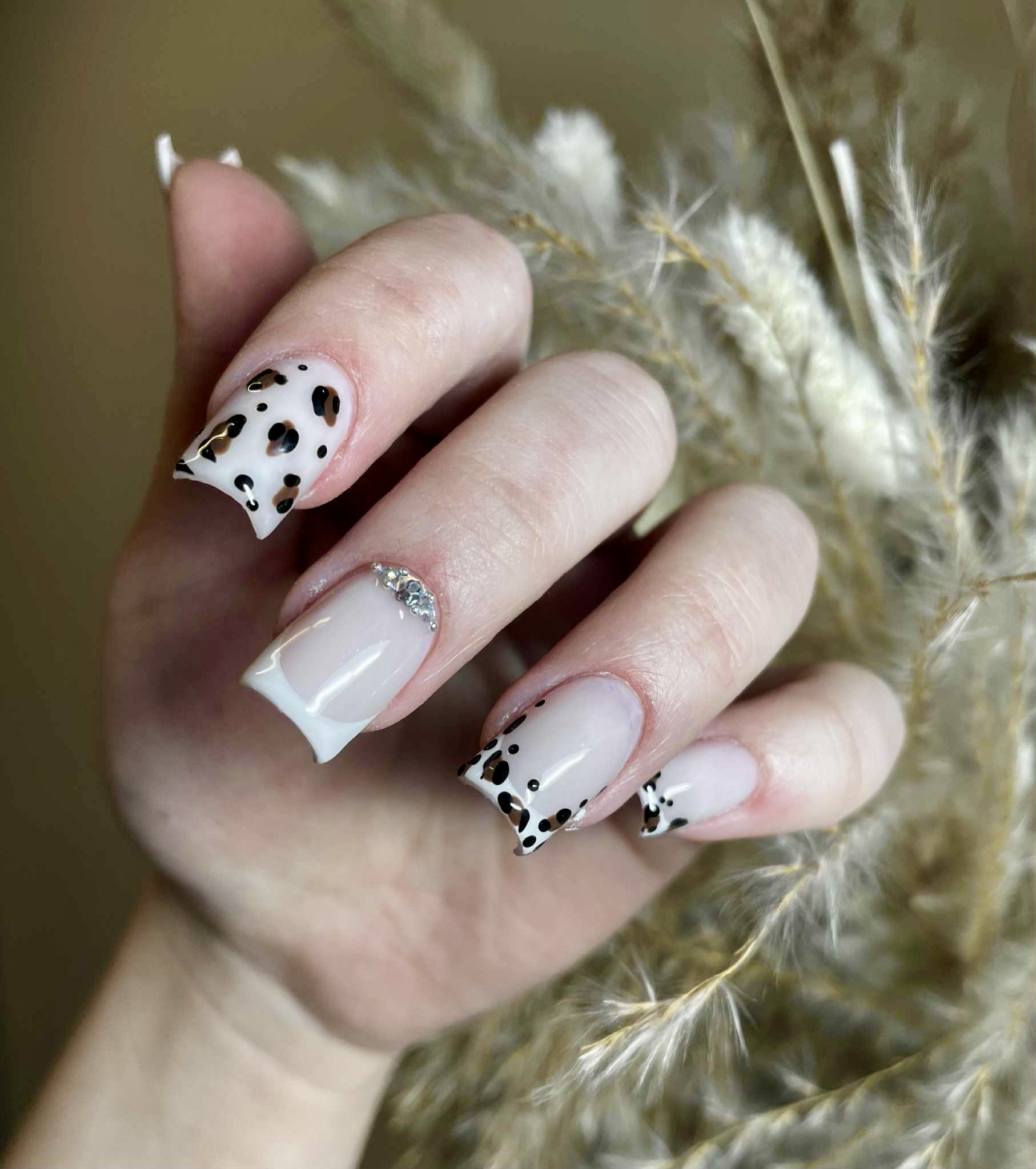 Sandra leopard prantslasel